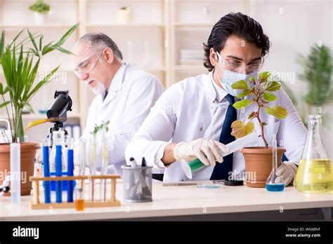 Two Chemists Working In The Lab Stock Photo Alamy