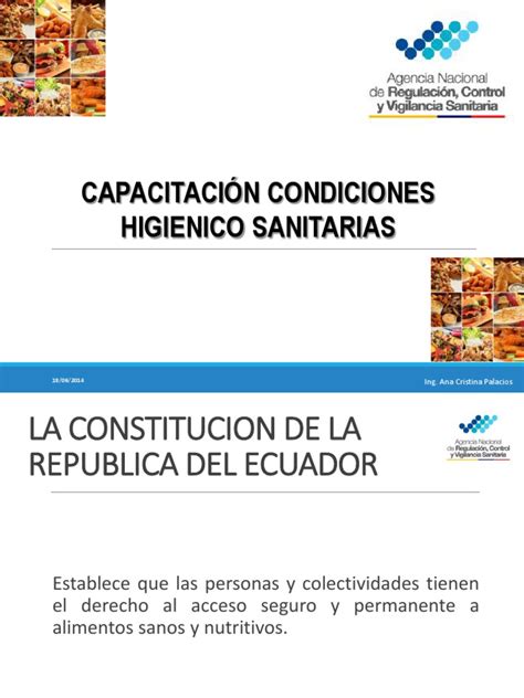 Pdf Capacitacion Condiciones Higienico Sanitarias Arcsa Pdf