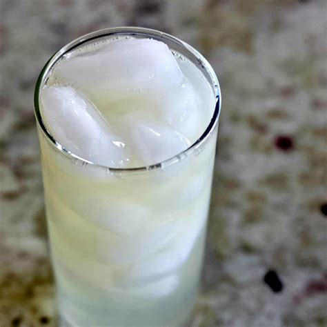 Classic Gin Fizz Recipe and Variations | Homemade Food Junkie