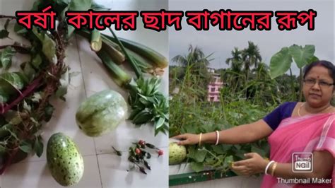 ছাদ বাগানে ঘরের জৈব খাবার প্রয়োগ করে ফল ফুল সব্জির চাষ Chad Baganer