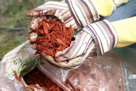 Whats The Best Mulch For Vegetable Gardens