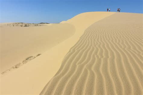 White Sand Dunes Mui Ne Vietnam