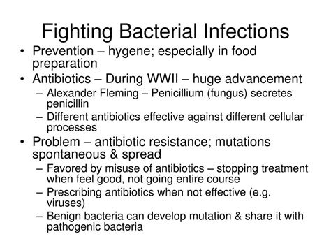 PPT - Bacteria PowerPoint Presentation, free download - ID:6749979