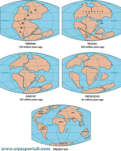 Gondwana Voyage Carte Plan