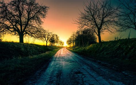 Road between bare trees, road, trees, landscape HD wallpaper ...