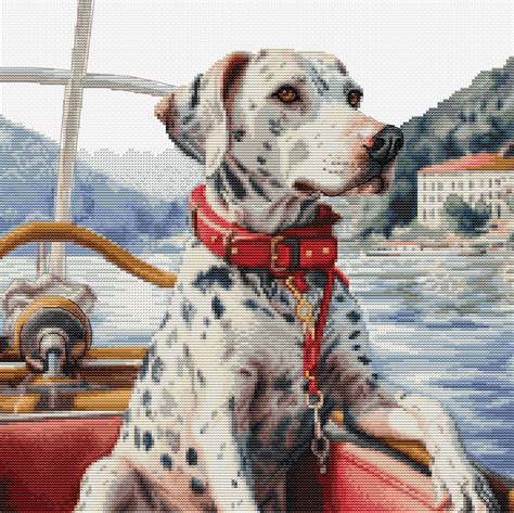 Luca S The Dalmatian On Lake Como Borduren Pakket Bu Doezelf Nl