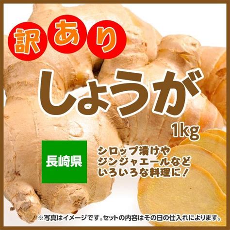 訳あり生姜 1kg 長崎県産 超人気 専門店