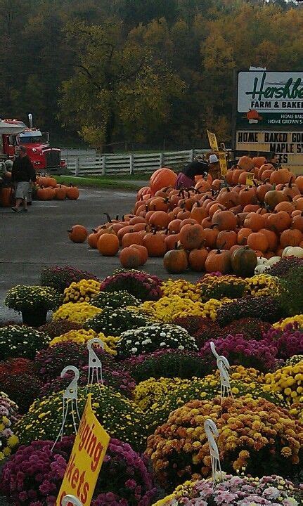 Fall Bounty at Hershbergers Market, Holmes County, OH