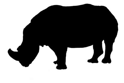 Rhino Silhouette Free Stock Photo Public Domain Pictures