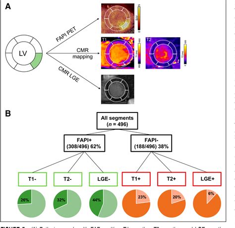 Figure 2 From Cardiac Fibroblast Activation In Patients Early After