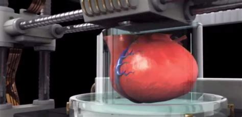 Will 3-D Printing Produce Human Organs Nearly from Scratch?