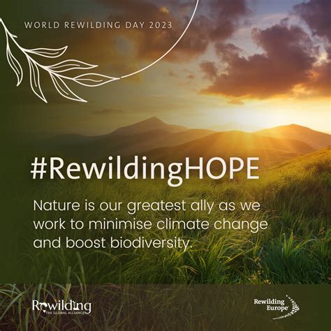 World Rewilding Day 2023 | Rewilding Europe