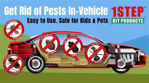 How To Get Rid Of Pests In Vehicles 1step Diy Products