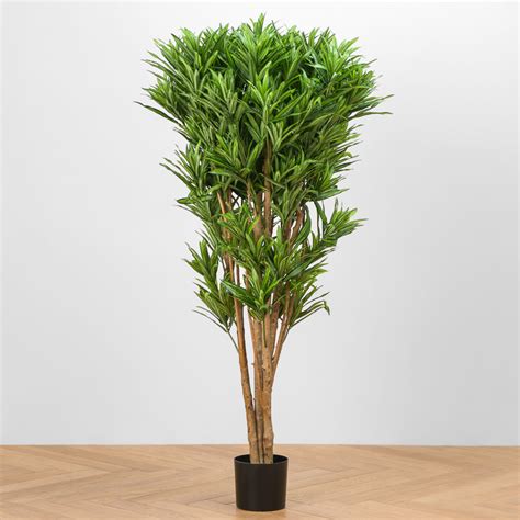 Искусственное дерево Jamaica Dracaena Reflexa 145 cm, Treez Collection ...