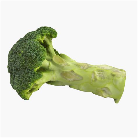 Broccoli 3d Models Download Free3d