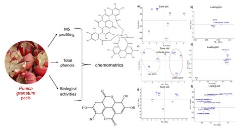 Molecules Free Full Text Assessment Of The Biological Activity And