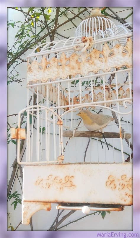 Maya Angelou Poem Caged Bird Breaking Free To Fly