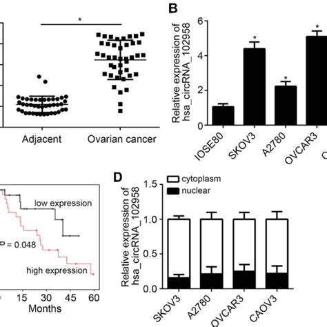 Hsa Circ 0067582 Expression Levels In Gastric Cancer Tissues A The