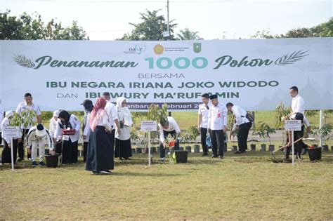 Media Center Tanam Pohon Di Pekarangan Rumah Dinas Gubernur Syamsuar