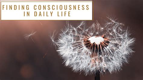 Finding Consciousness In Daily Life Ajahn Kovilo Ajahn Nisabho