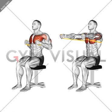 Resistance Band Seated Chest Press