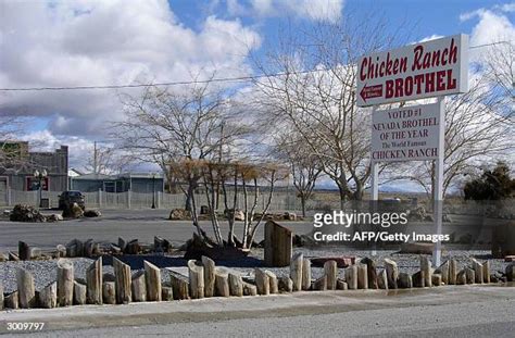 19 Chicken Ranch (Nevada) Stock Photos, High-Res Pictures, and Images - Getty Images