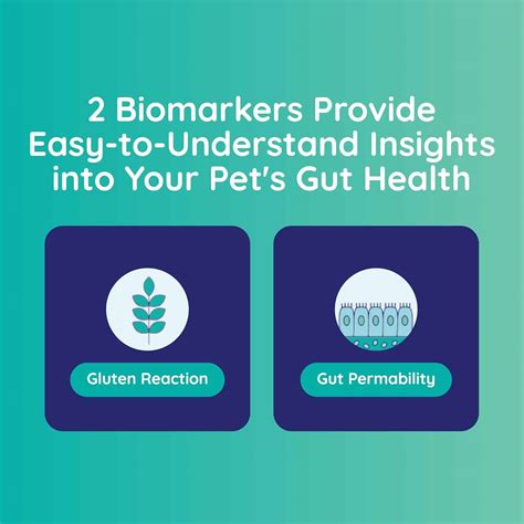 Innovative Pet Lab Leaky Gut Test - Floppycats™