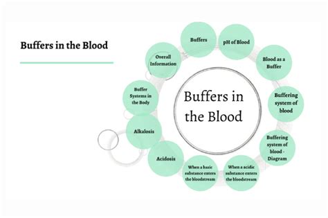 20 Fascinating Facts About Blood Buffer - Facts.net