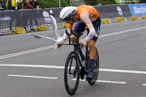 Racers Collide With Birds At World Championships Road Bike Action