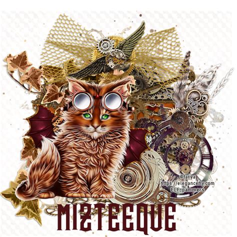 pammers passions steam cat ftu