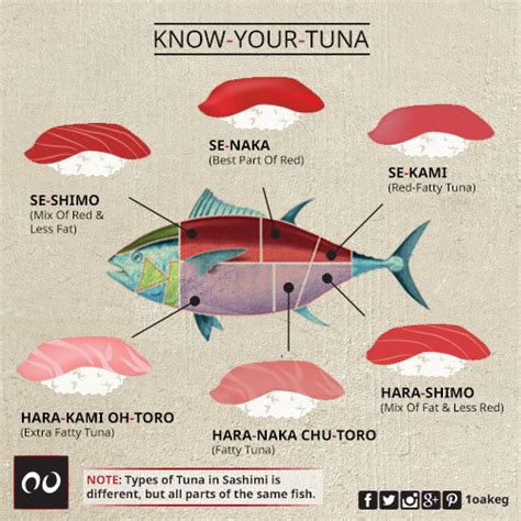 Tuna Are Among The Most Commercially Valuable Fish On The Planet Know