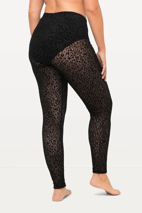 Sheer Leopard Print Leggings All Tights Tights