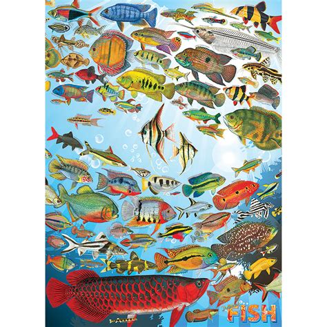 Tropical Fish 1000 Piece Jigsaw Puzzle Spilsbury