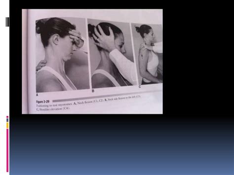 Assessment Of Cervical Spine Ppt