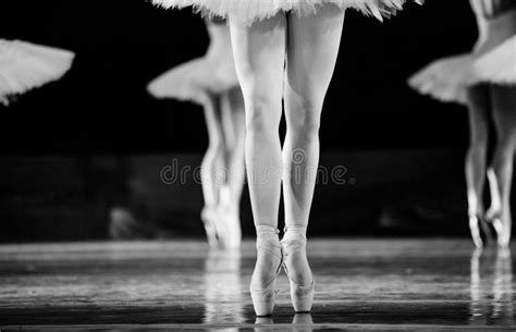 Swan Lake ballet stock photo. Image of artist, ballet - 207032118