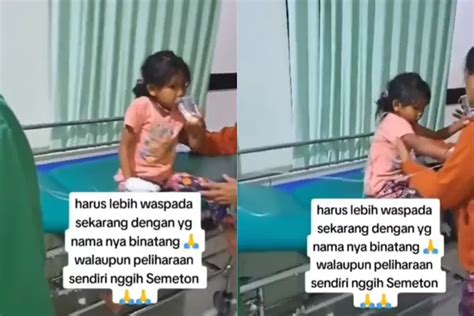 Bocah Di Bali Meninggal Usai Digigit Anjing Video Ketakutan Melihat