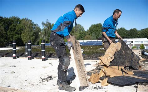 Zet Asielzoekers In Om Drentse Huizen Te Isoleren Statenlid Marloes