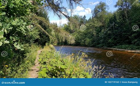 Otava River, Czech Republic Stock Photo - Image of tree, blue: 102719162