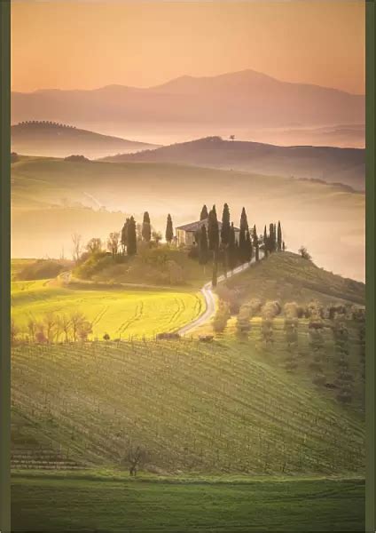 Poster Print Of Podere Belvedere San Quirico D Orcia Val D Orcia