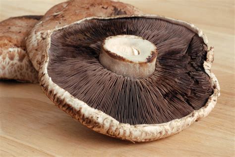 What Are Portobello Mushrooms Facts Benefits And Recipe Uses