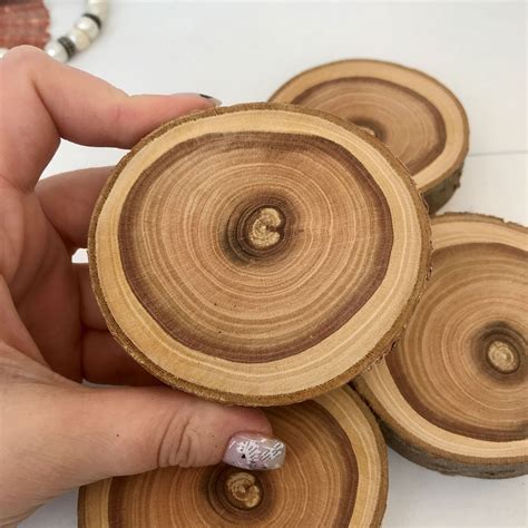 Wooden Slice 1 Piece Plum Tree Roundwood Creativity Craft Wo Inspire Uplift Creative Crafts