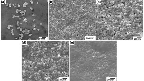 Fe Sem Images A Sample A 105 Fe 3 O 4 Nanoparticles B Sample B