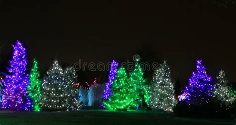 Christmas Lights Festival and Celebration in Hudson Gardens Stock Photo - Image of card ...