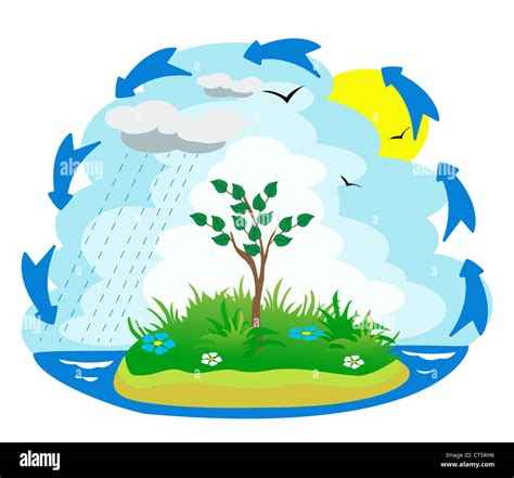 Water Cycle Illustration Hi Res Stock Photography And Images Alamy