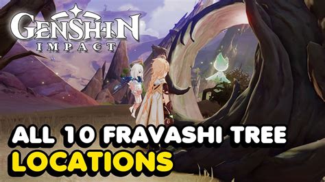 All Fravashi Tree Locations In Genshin Impact Youtube