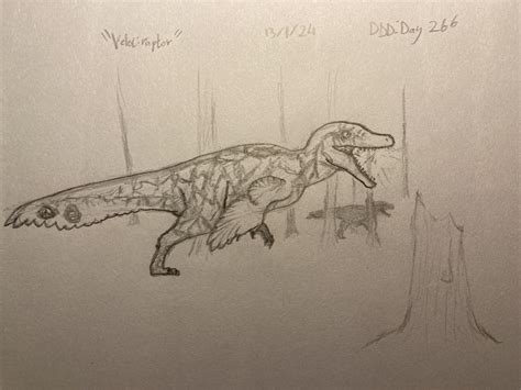 Daily Dinosaur Drawings: Day 266 (velociraptor) : r/Paleoart