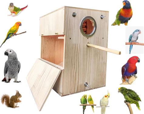 Amazon GJRGEG1Y Natural Wood Large Bird Nest Box Parrot Breeding