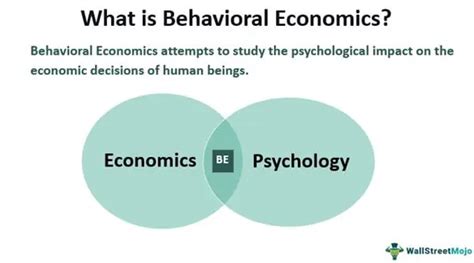 Behavioral Economics Definition Examples Applications