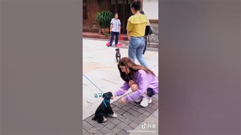 当赵露思遇见小狗狗🐶 Zhao Lusi Playing With Dogs ️ Youtube