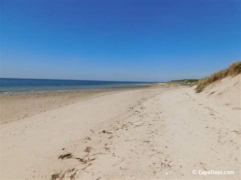 Guide to Wellfleet MA Beaches on the Atlantic Ocean and Cape Cod Bay